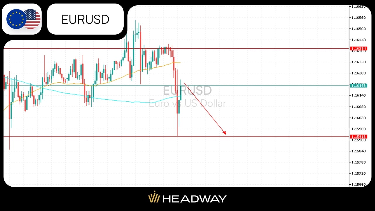 Image for Export (17).webp
